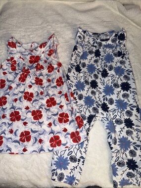 Carter's Bundle of 2-Floral Set with Red and Blue Flowers- Dress & pants